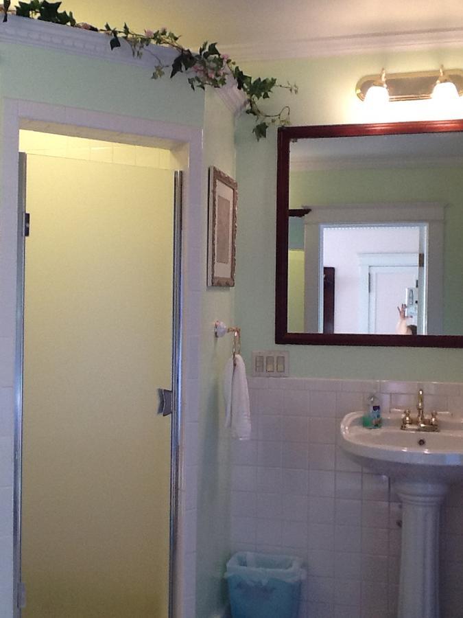 Scarlett House Victorian B & B Janesville Buitenkant foto